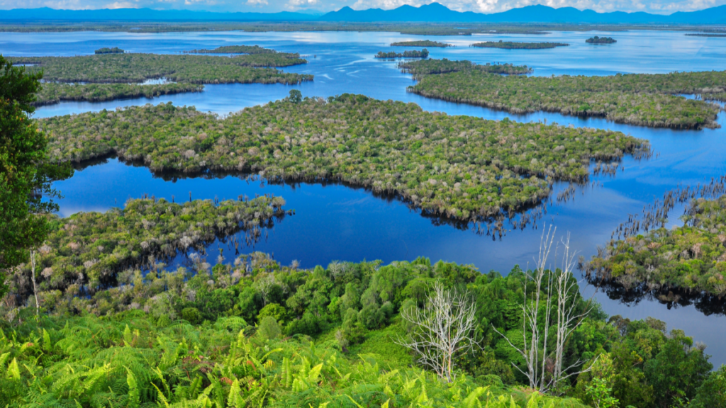 Danau Sentarum kalimantan barat