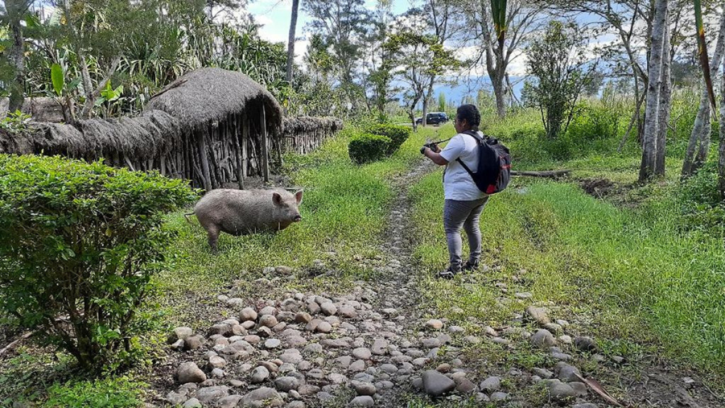 Lembah Baliem Papua
