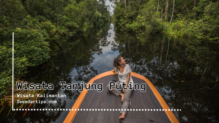 Tanjung Puting kalimantan
