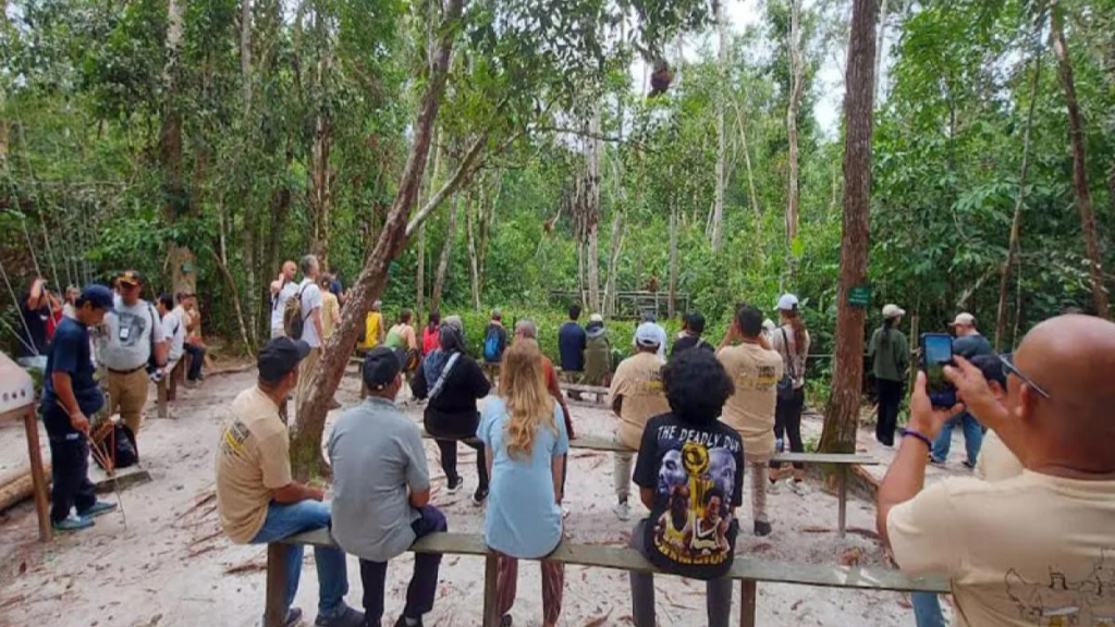 Tanjung Puting kalimantan
