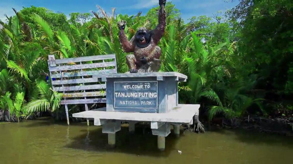 Tanjung Puting kalimantan
