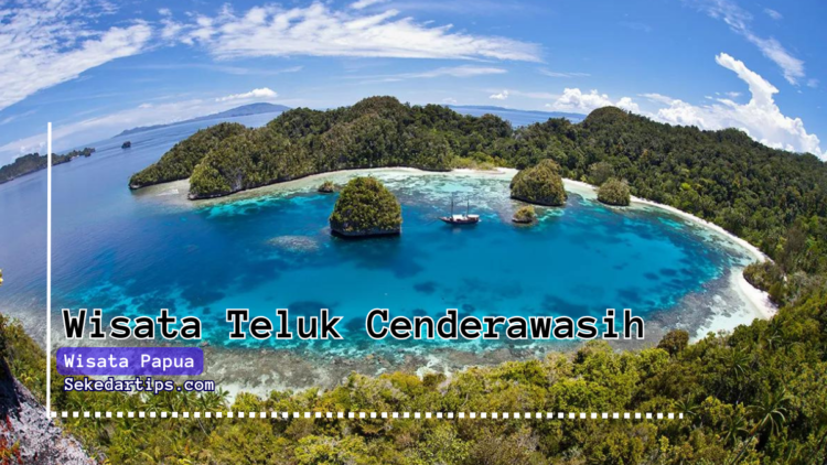 Teluk Cenderawasih