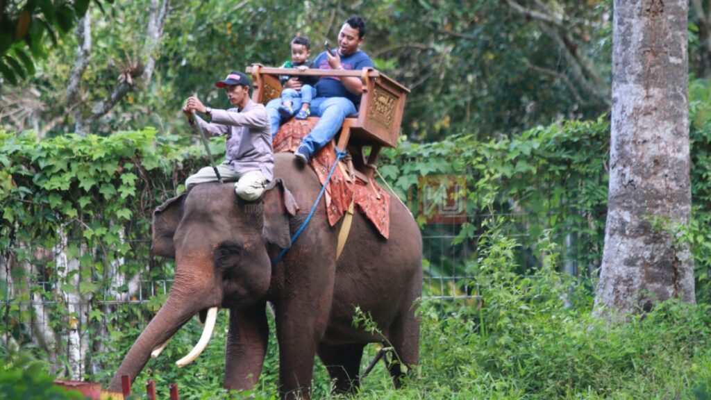 Taman Wisata Lembah Hijau