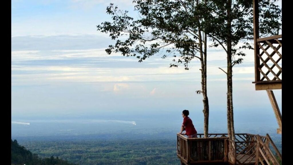 Wisata di Binjai Rumah Pohon
