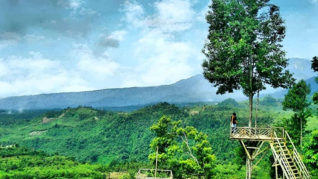 Wisata di Binjai Rumah Pohon