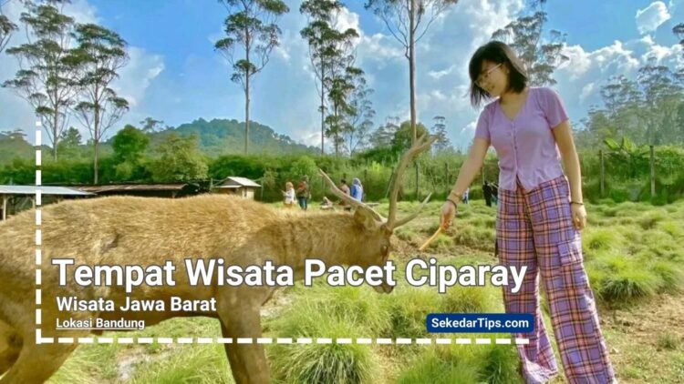 tempat wisata pacet ciparay