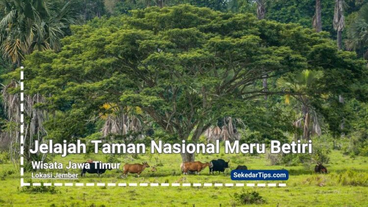 Taman Nasional Meru Betiri