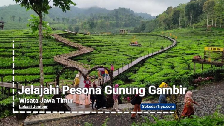 Pesona Gunung Gambir