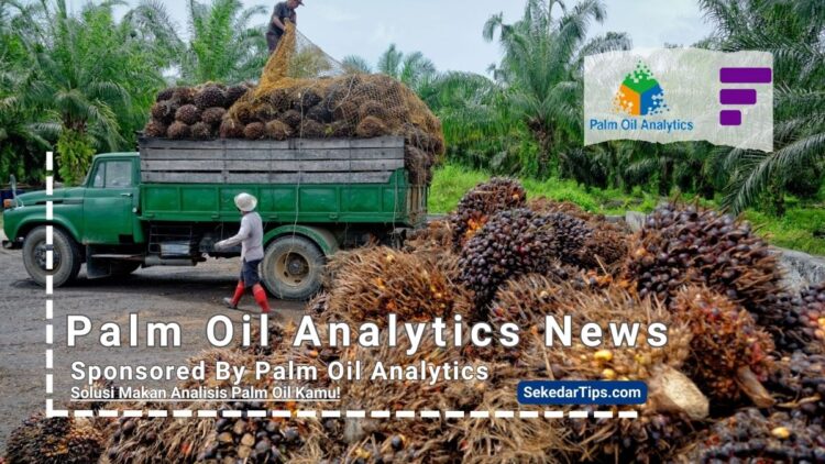 palm oil analytics