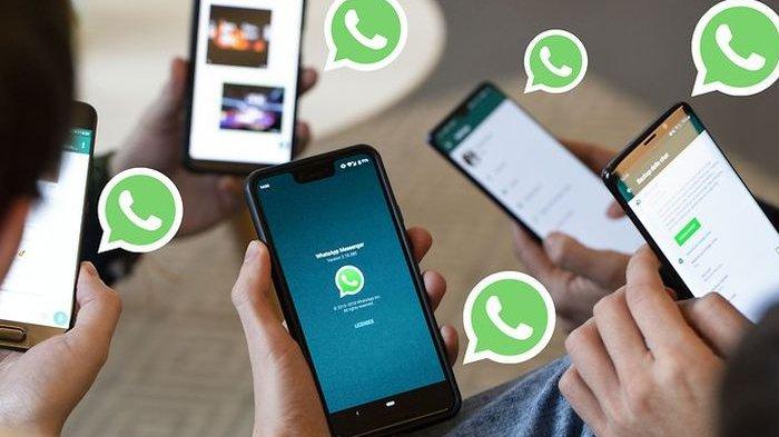 WA Bisnis Mod