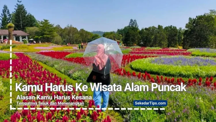 Wisata Alam Puncak