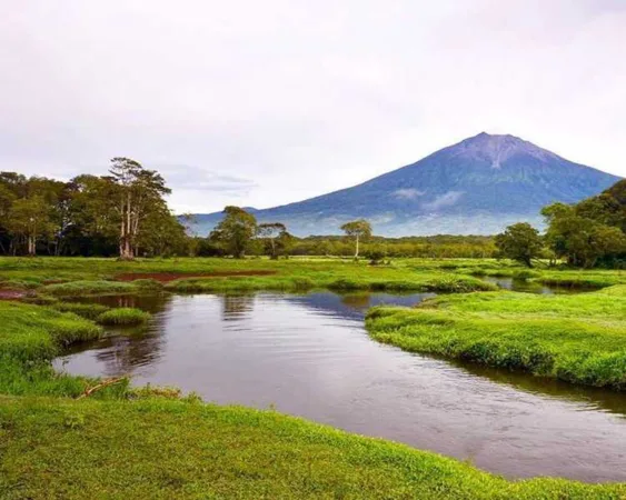 Gunung Kerinci Wisata Jambi