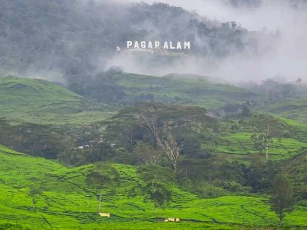 objek wisata Pagar Alam
