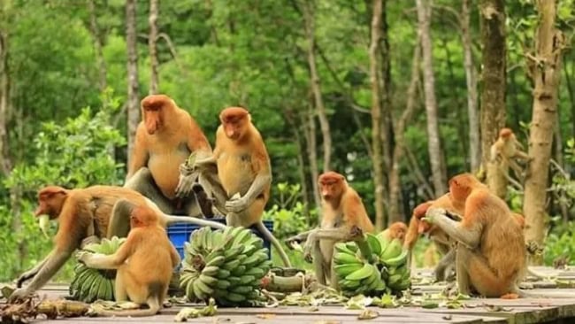 wisata Banjarbaru