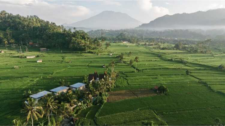 Sawah terasering Bali Countryside Sidemen dengan Gunung Agung